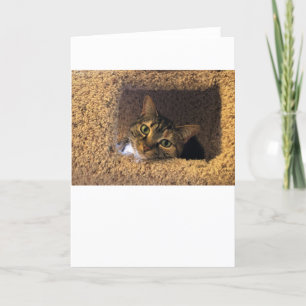 Jours lents, carte