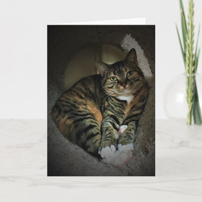 Jours lents, carte (Devant)