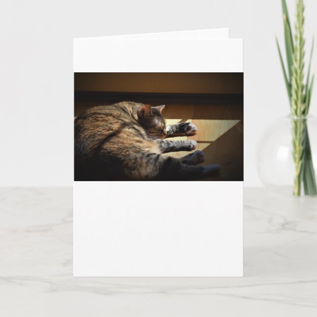 Jours lents, carte (Devant)