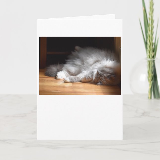 Jours lents, carte (Devant)