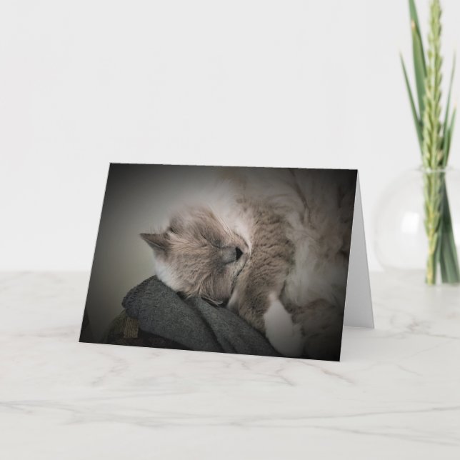 Jours lents, carte (Devant)