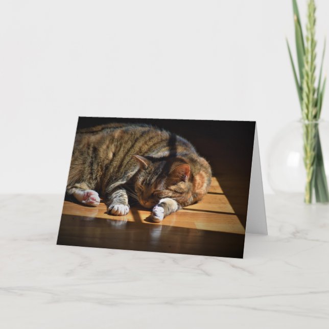 Jours lents, carte (Devant)