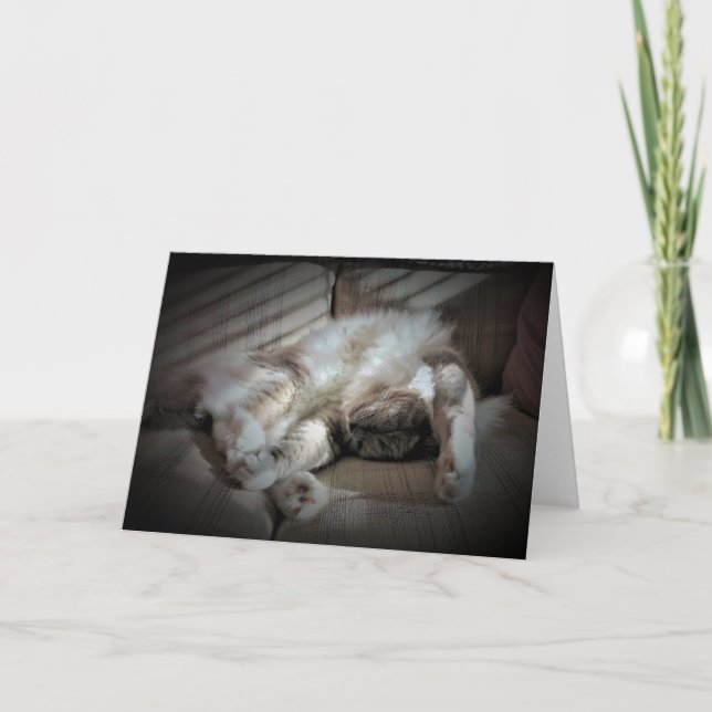 Jours lents, carte (Devant)