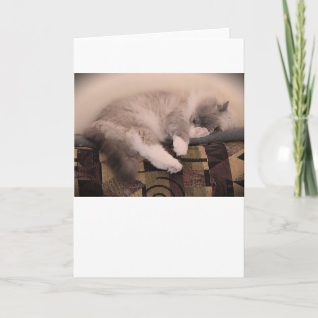Jours lents, carte (Devant)