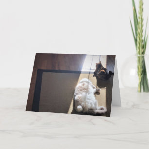 Jours lents, carte