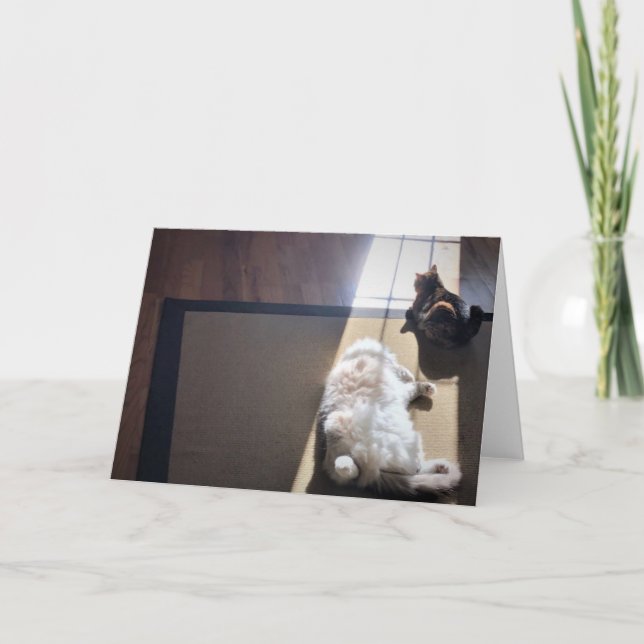 Jours lents, carte (Devant)