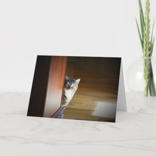 Jours lents, carte (Devant)