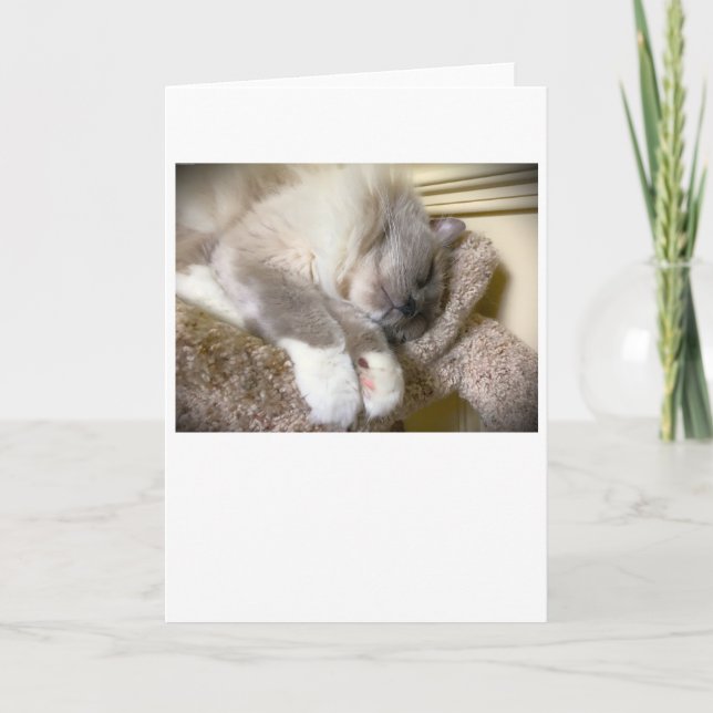 Jours lents, carte (Devant)