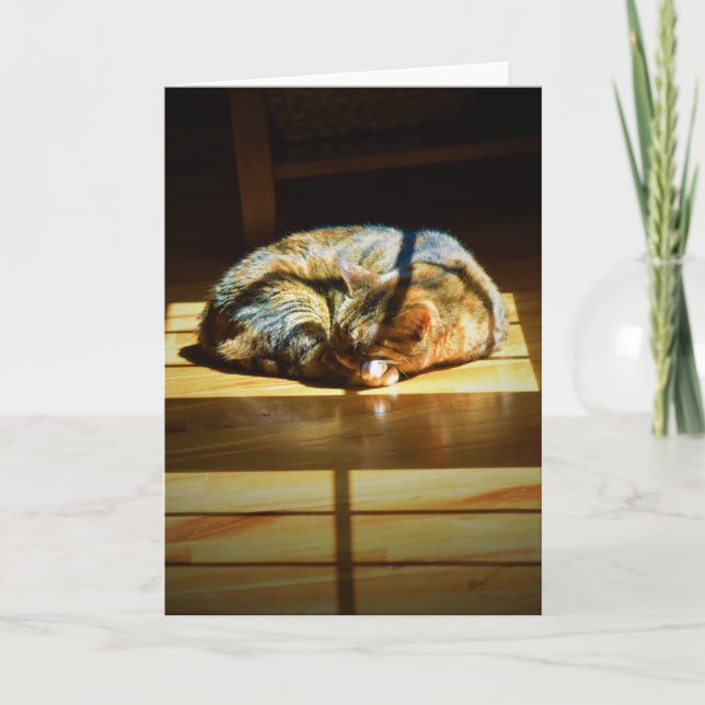 Jours lents, carte (Devant)