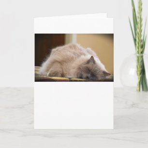 Jours lents, carte