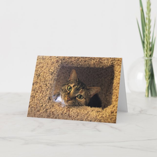 Jours lents, carte (Devant)