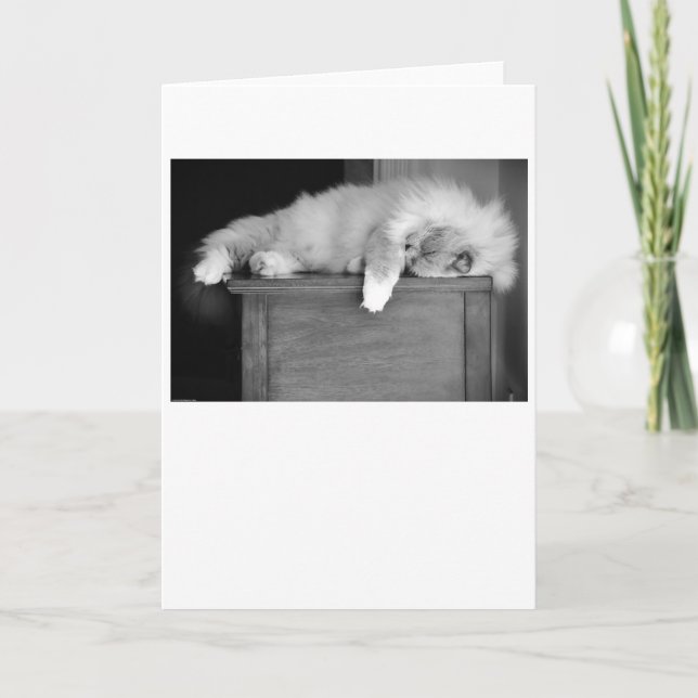 Jours lents, carte (Devant)