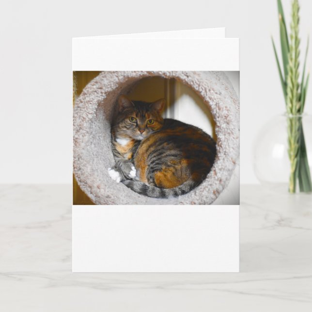 Jours lents, carte (Devant)