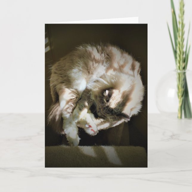 Jours lents, carte (Devant)