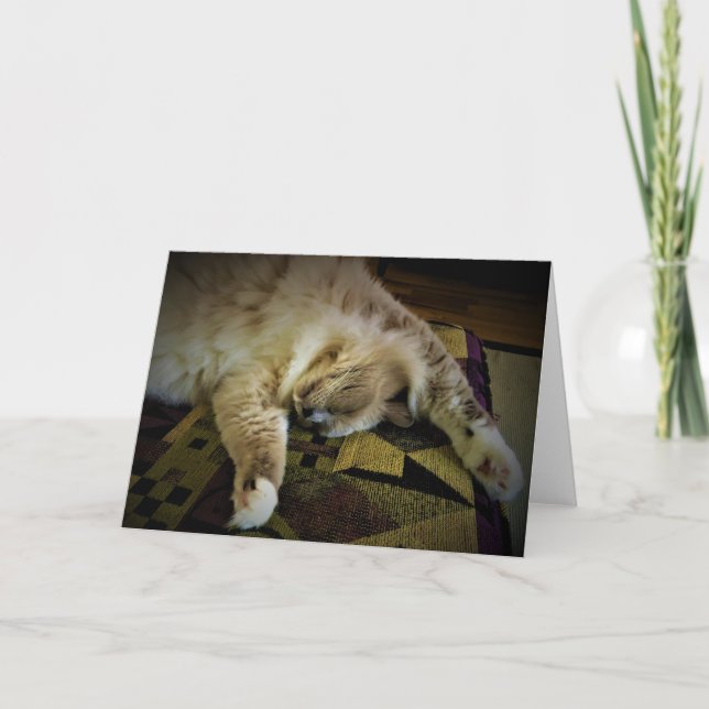 Jours lents, carte (Devant)