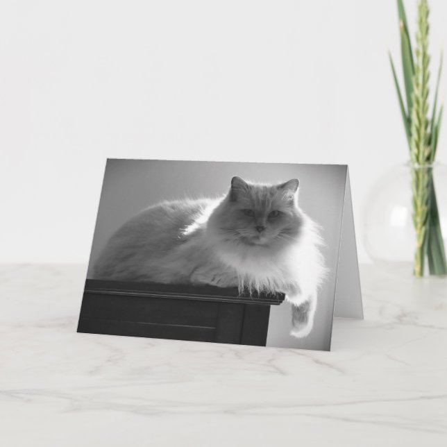 Jours lents, carte (Devant)