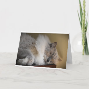 Jours lents, carte