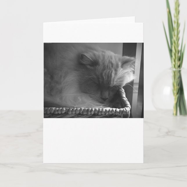 Jours lents, carte (Devant)