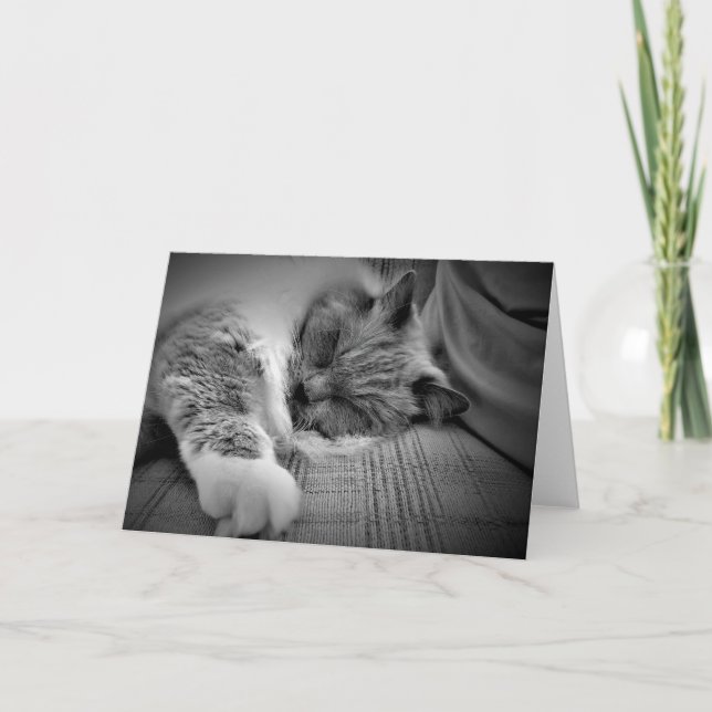 Jours lents, carte (Devant)