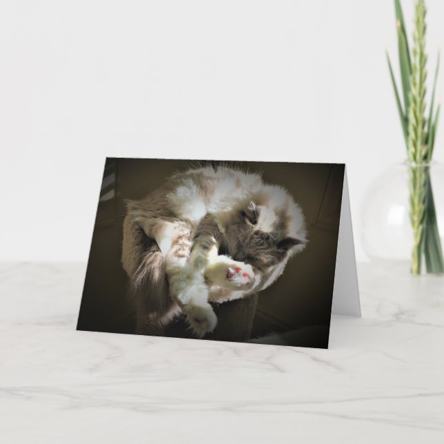 Jours lents, carte (Devant)