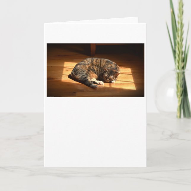 Jours lents, carte (Devant)