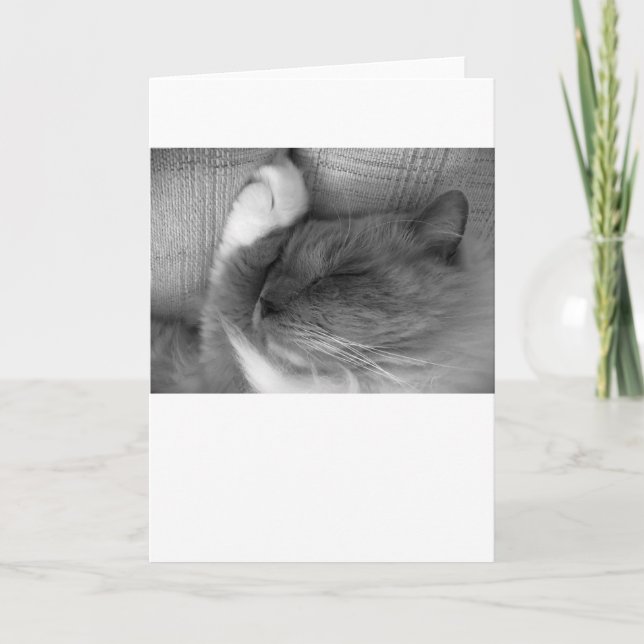 Jours lents, carte (Devant)