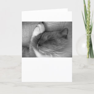 Jours lents, carte