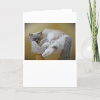Jours lents, carte