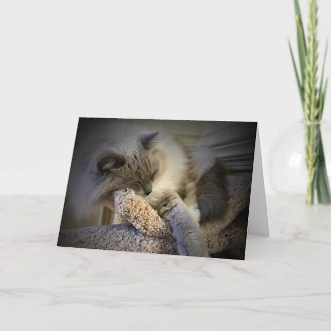 Jours lents, carte (Devant)
