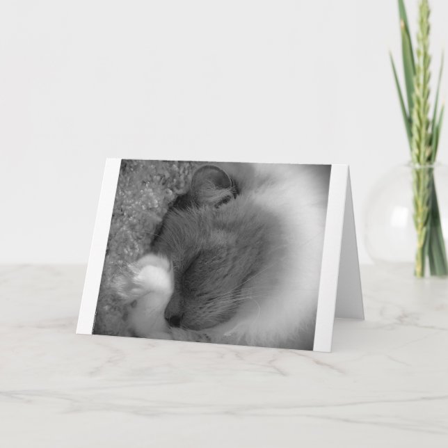 Jours lents, carte (Devant)