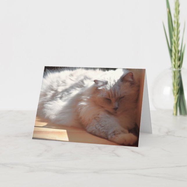 Jours lents, carte (Devant)