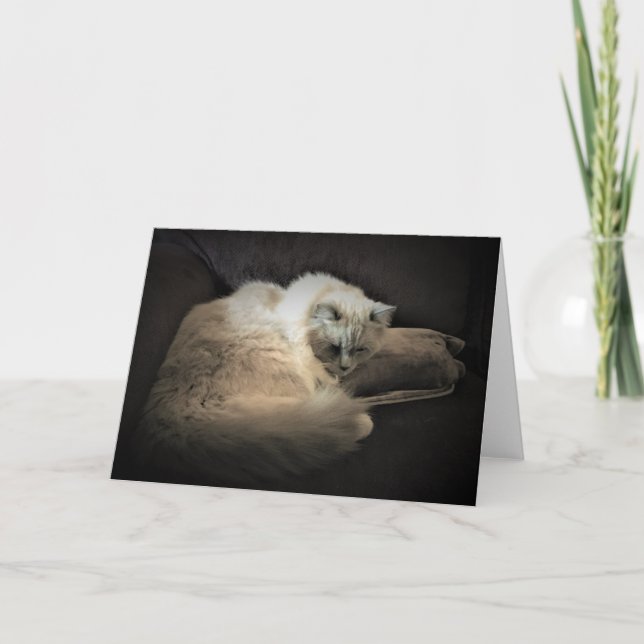 Jours lents, carte (Devant)