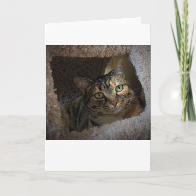 Jours lents, carte (Devant)