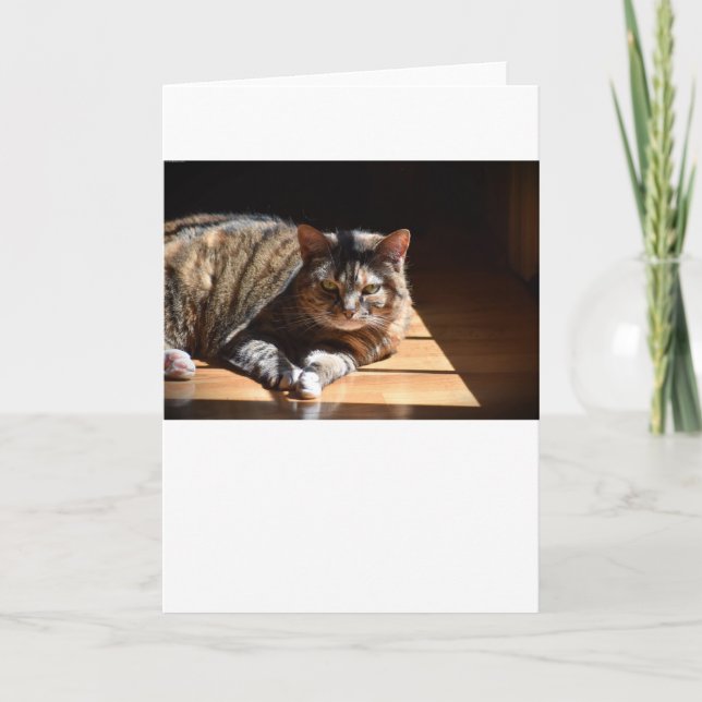 Jours lents, carte (Devant)