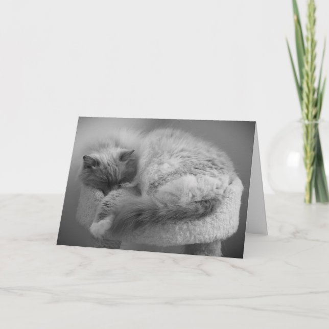 Jours lents, carte (Devant)