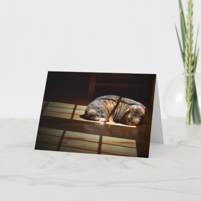 Jours lents, carte (Devant)