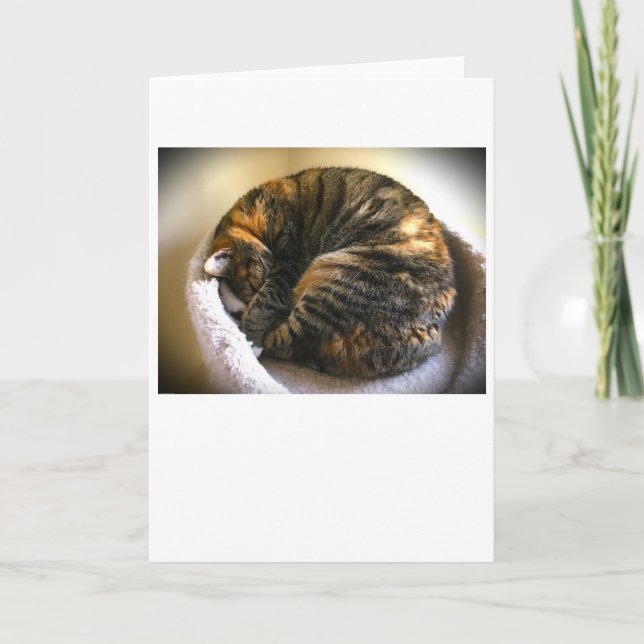 Jours lents, carte (Devant)