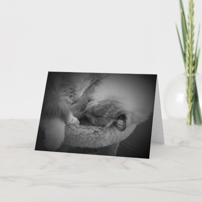 Jours lents, carte (Devant)