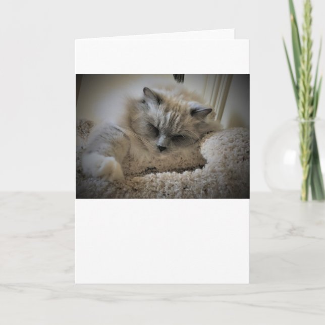 Jours lents, carte (Devant)