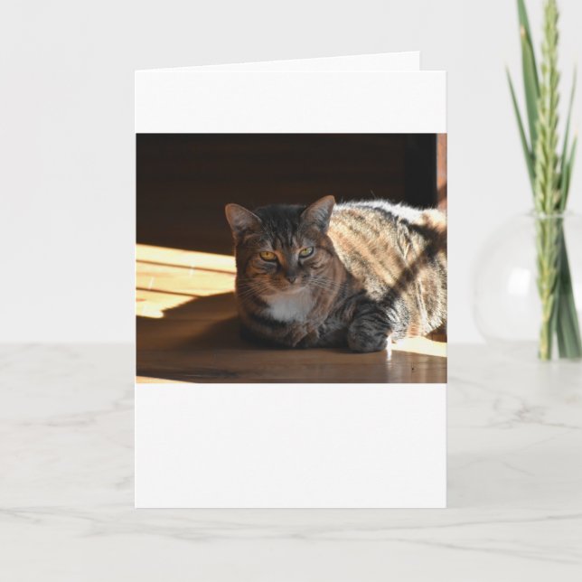 Jours lents, carte (Devant)