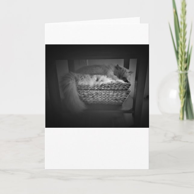 Jours lents, carte (Devant)