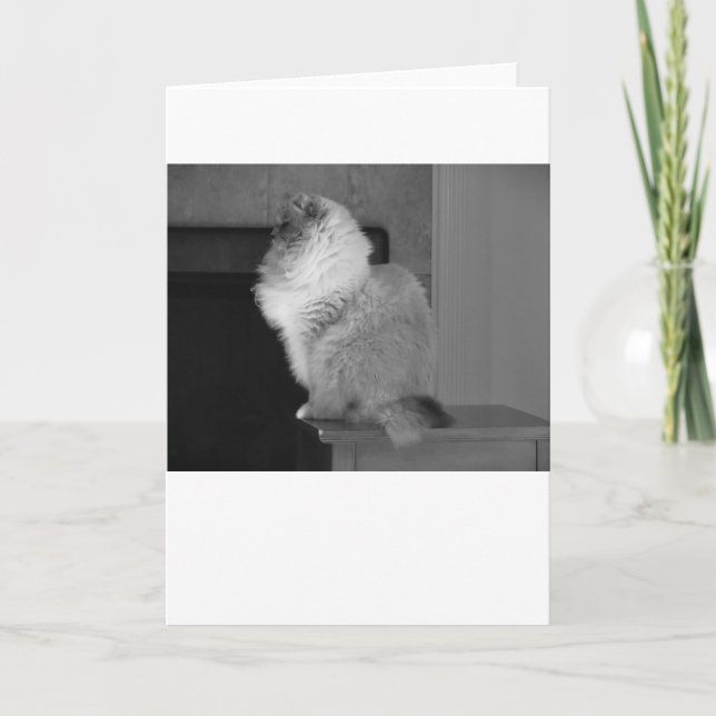 Jours lents, carte (Devant)