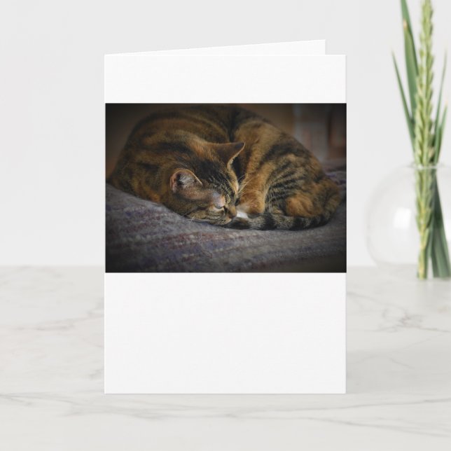 Jours lents, carte (Devant)