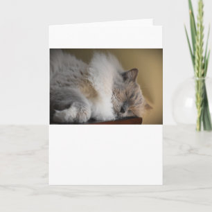 Jours lents, carte