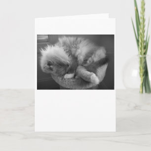 Jours lents, carte