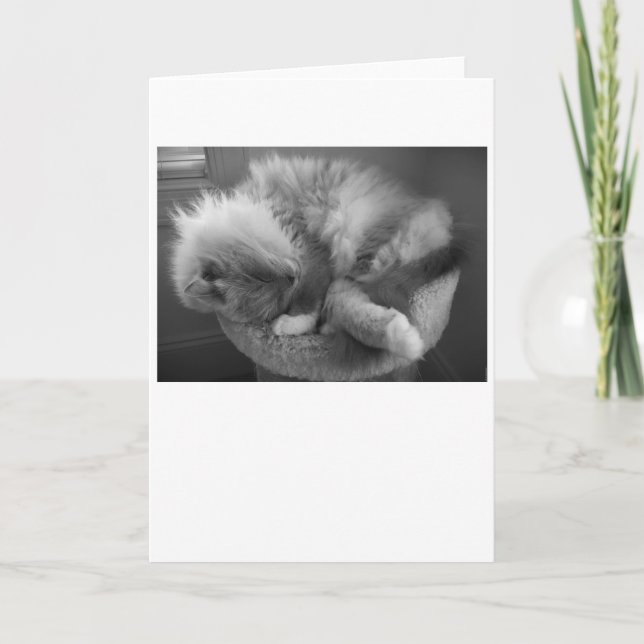 Jours lents, carte (Devant)