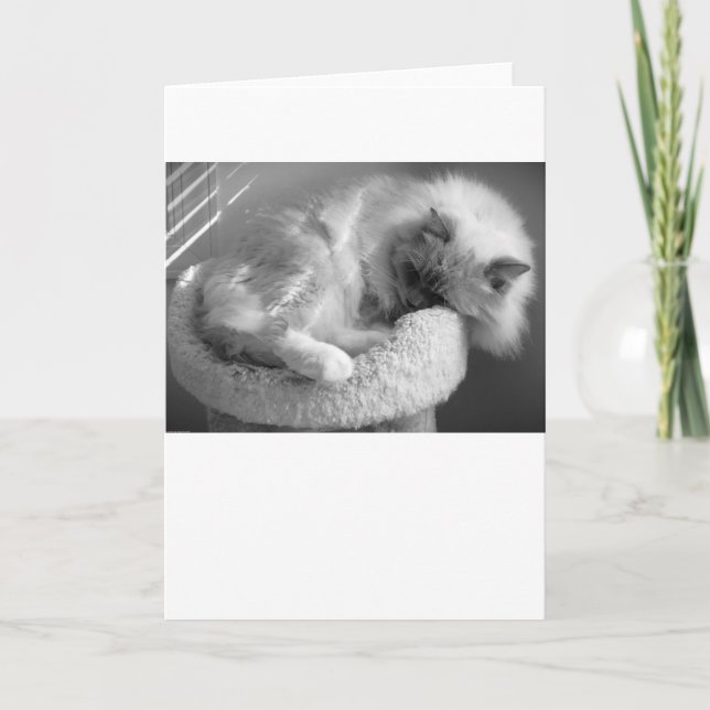 Jours lents, carte (Devant)
