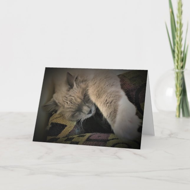 Jours lents, carte (Devant)