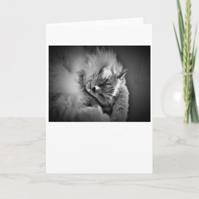 Jours lents, carte (Devant)