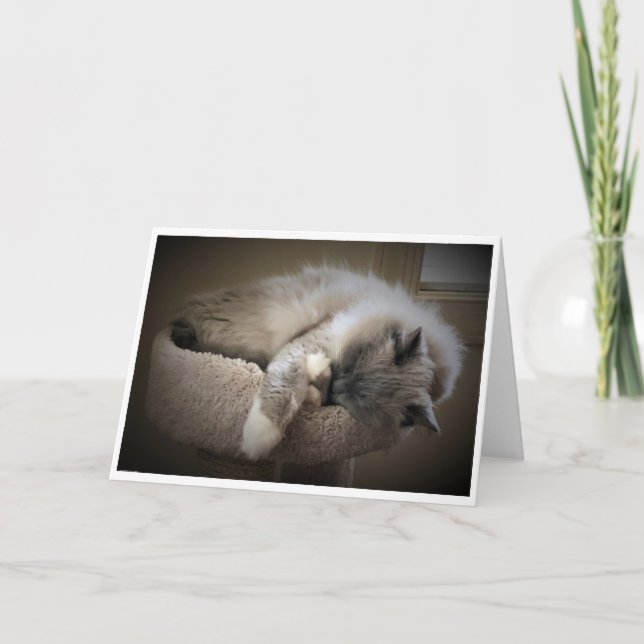 Jours lents, carte (Devant)
